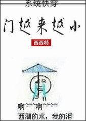 门越来越小内容简介